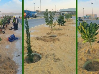 WhatsApp Image 2024-07-06 at 19.49.52_19a6ff45